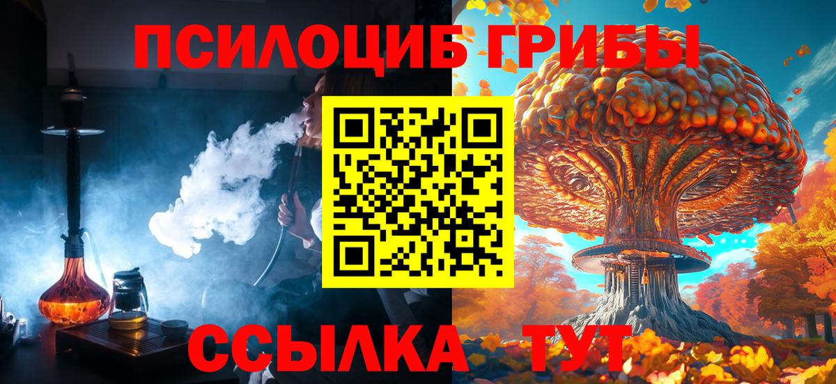 Пыть-Ях  Псилоцибиновые грибы Psilocybe  Вход с VPN 